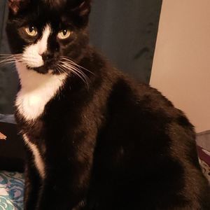 Meet your Posher, Jaylene